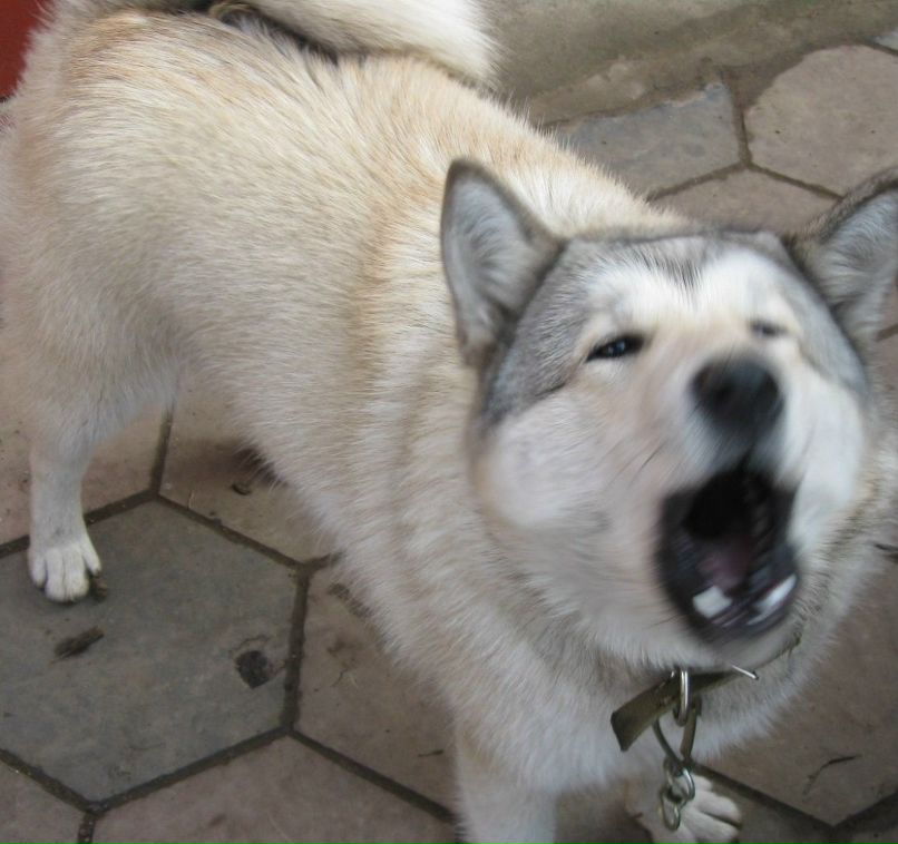 Ольга Скалецкая | Одесса