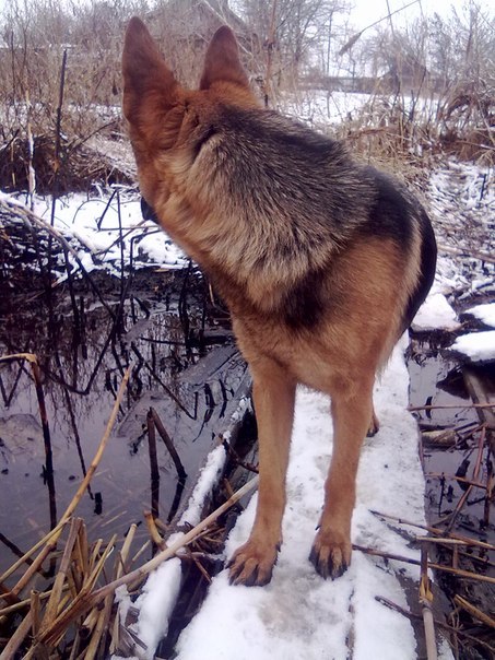 Ігор Кобильник | Тернополь