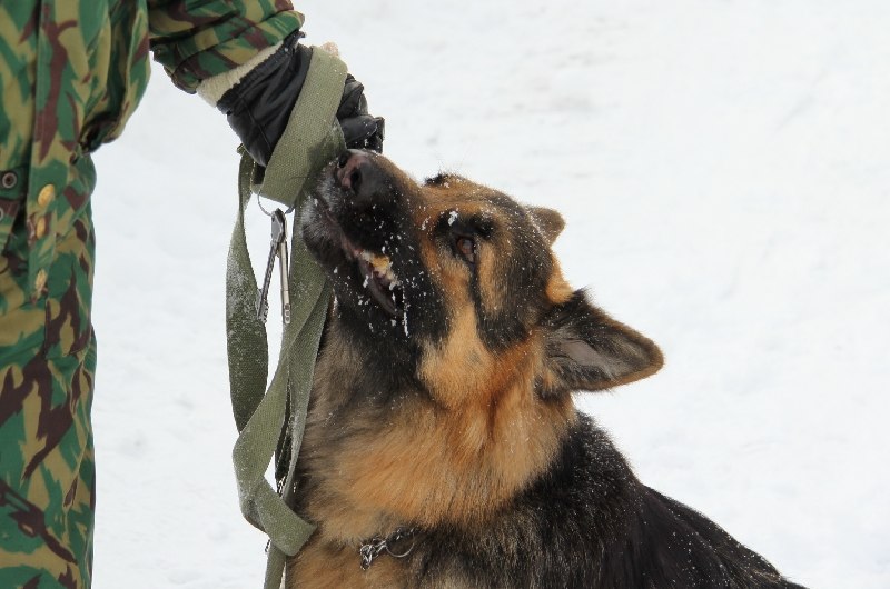 Виктор Кольцов | Санкт-Петербург