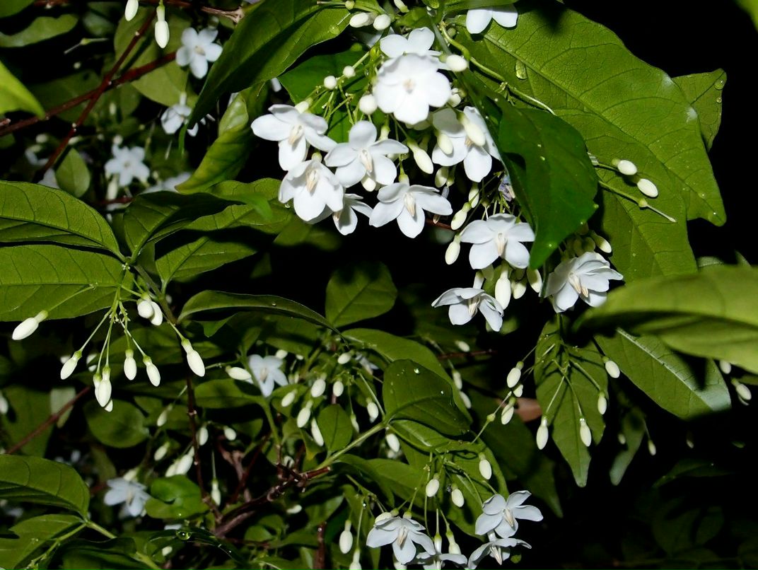 Виталий Ващенко | Хабаровск