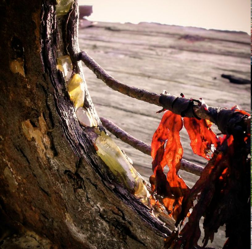 Ольга Гармаш | Мурманск