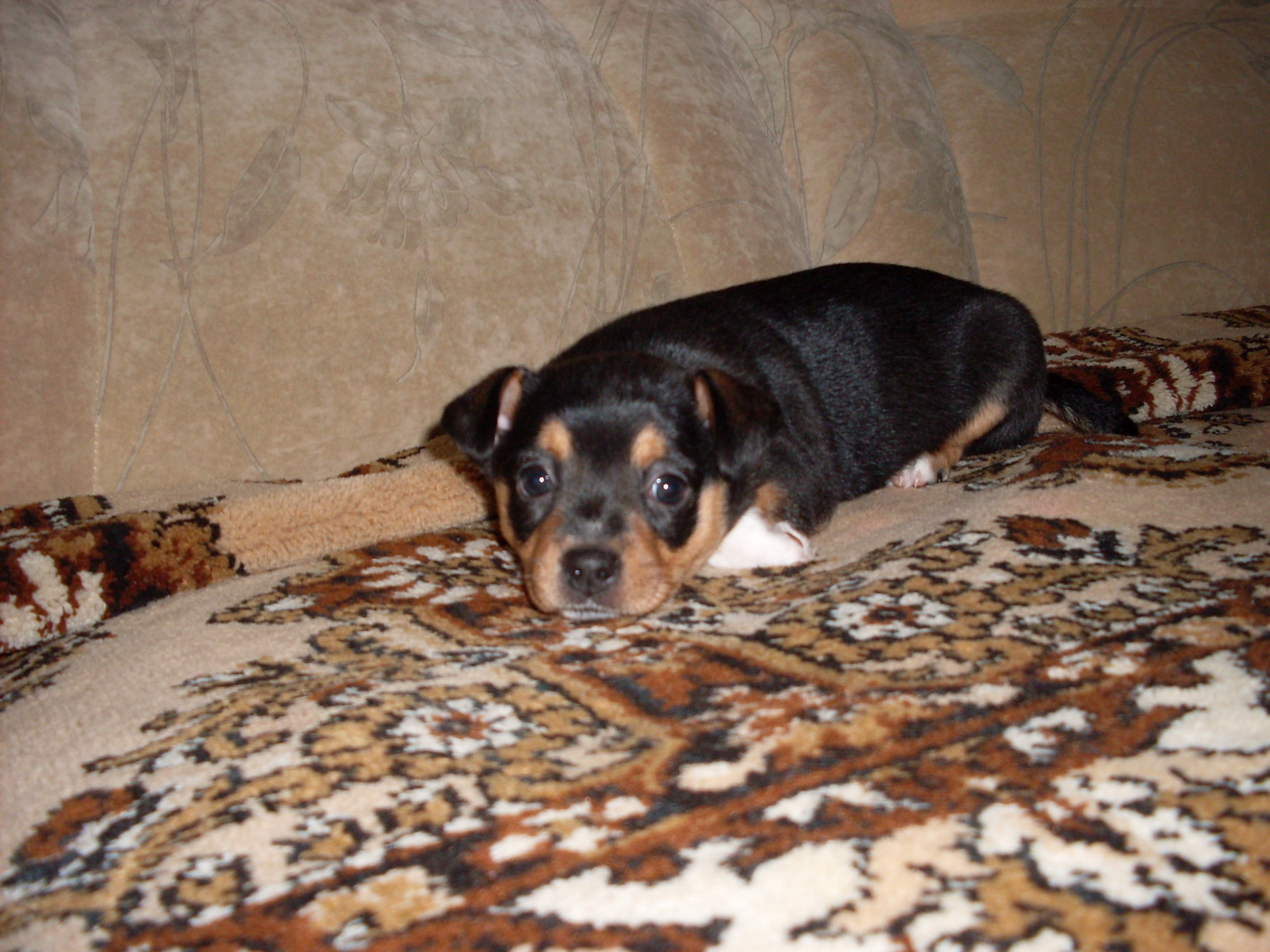 Фото профиля