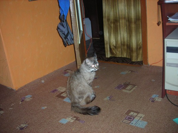 №117, Надежда Григорьева, 14.06.1954, Всеволожск №117, Надежда Григорьева, 14.06.1954, Всеволожск