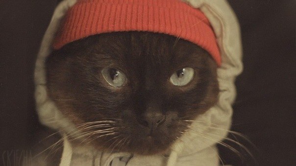 Камолидин Ходжаев | Санкт-Петербург