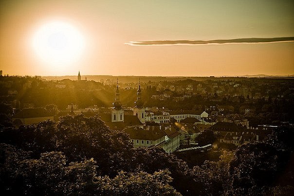 Давид Сафаров ♠♔♠ | Москва