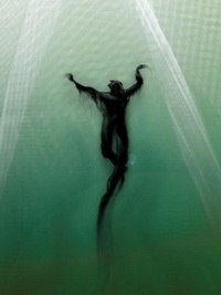 Виталик Терещенко | Краснодар