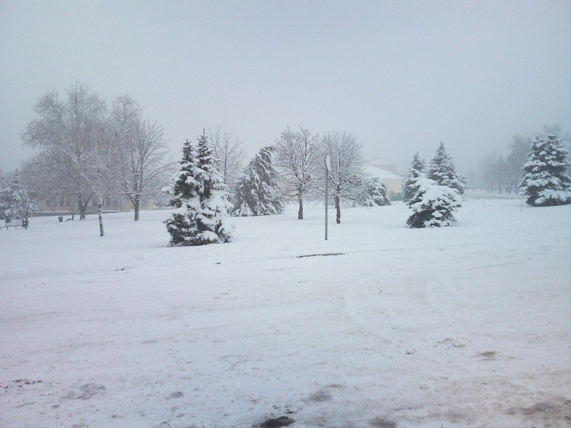 Артем Паланский | Николаев