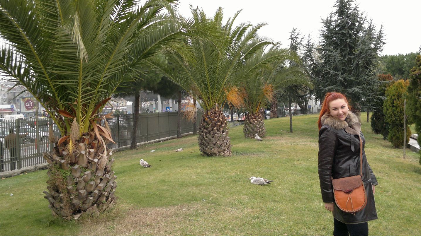 Albina Simonenko | New York City