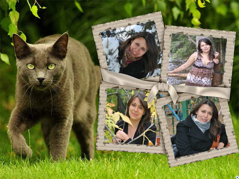 Светлана Белоус | Тирасполь