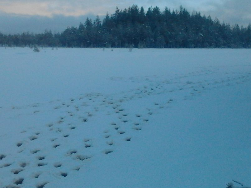 Александр Отт | Барнаул