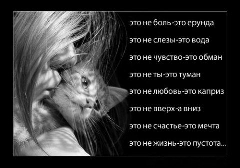 Алёна Котёна | Москва