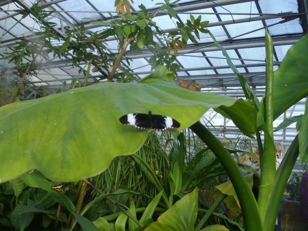 Галина Дудинова | München