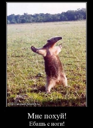 Дмитрий Морт | Москва