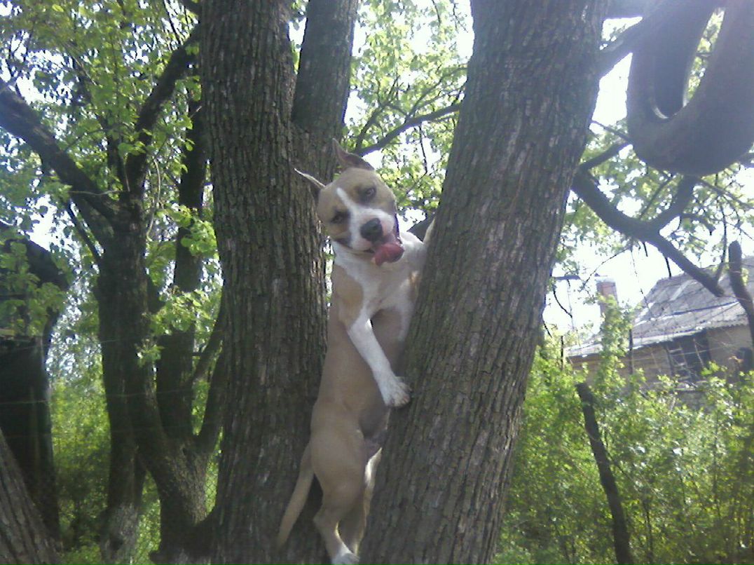 Инна Перищ | Волгодонск