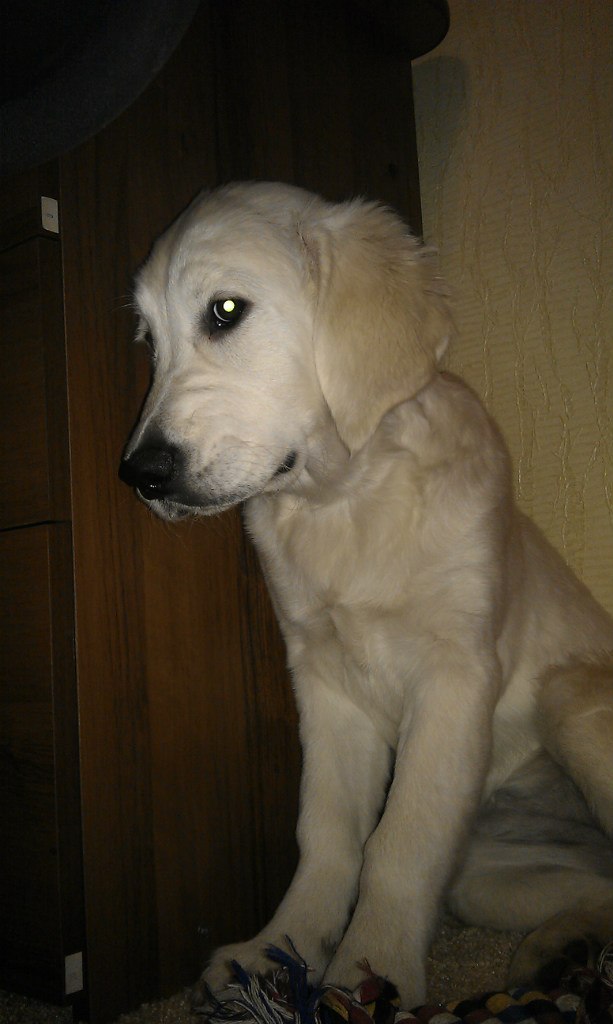 Константин Жарких | Тюмень