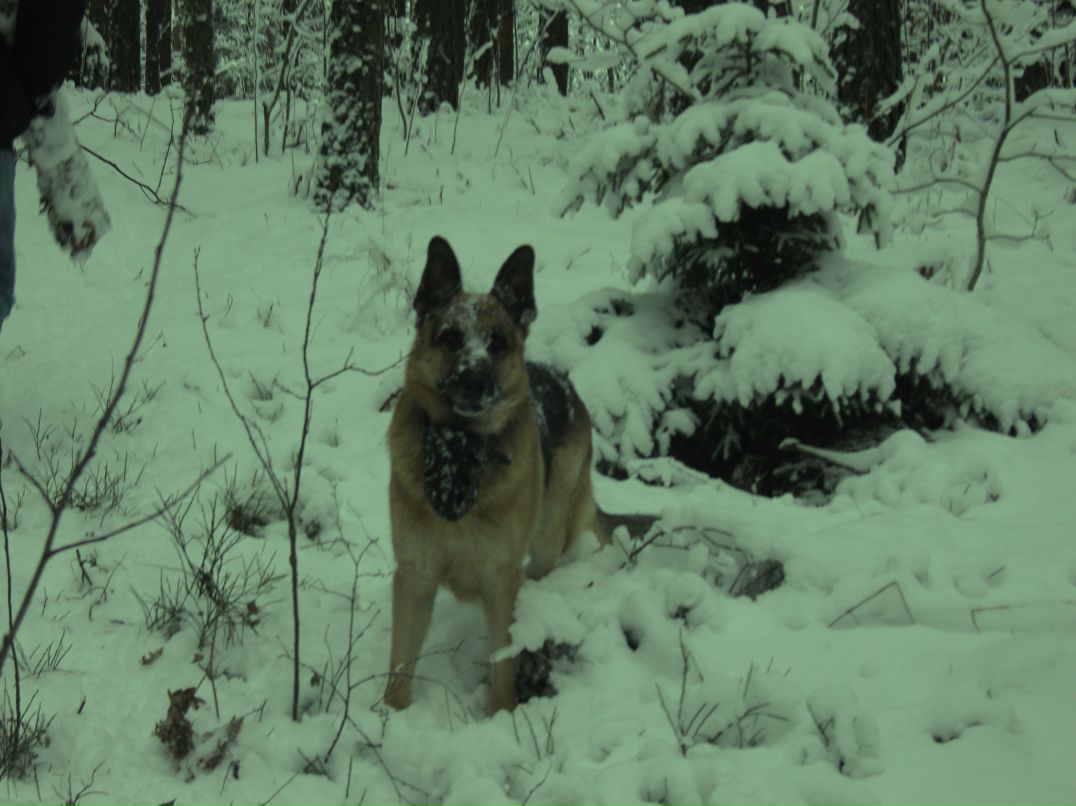 Вадзім Мелюкоў | Минск