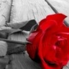Аватар: Лена Иванова