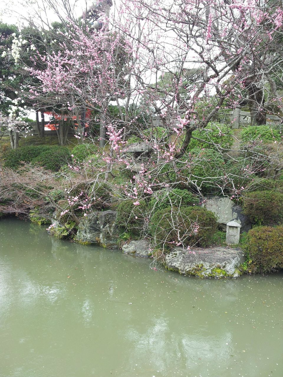 Наташа Реброва | Москва