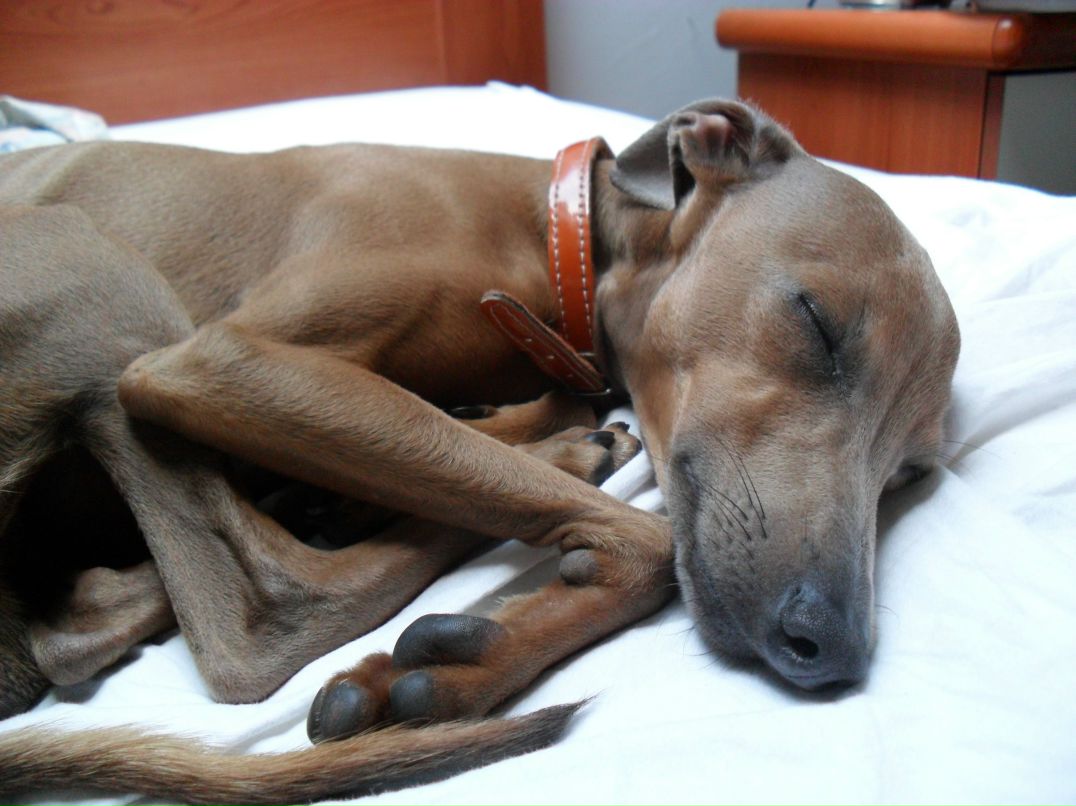 Юлия Левреткин | Киев