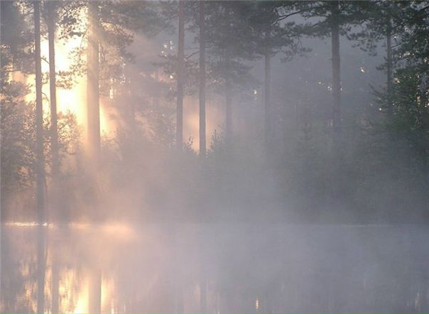 №33, Анна Белых, Екатеринбург №33, Анна Белых, Екатеринбург