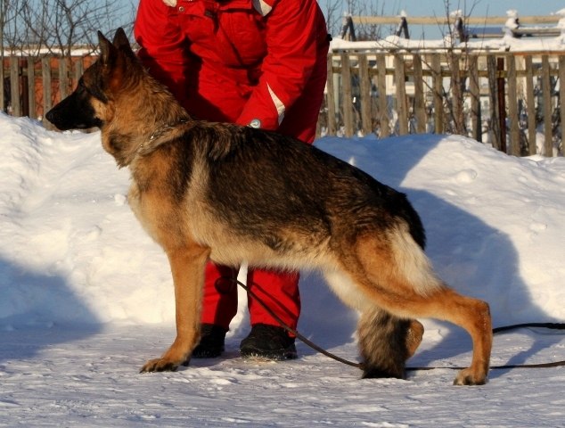 Нина Лазарева | Воскресенск
