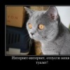 Аватар: Re Re