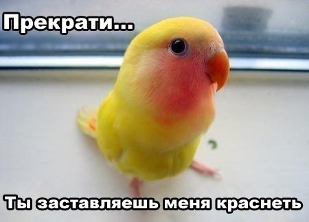 №21, Вероника Королева, 48 лет, Севастополь №21, Вероника Королева, 48 лет, Севастополь