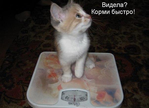 №144, Баашка Гамзатова №144, Баашка Гамзатова