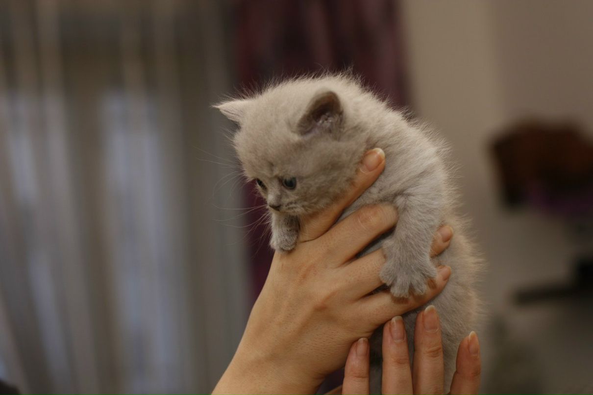 Оксана Морозова | Санкт-Петербург