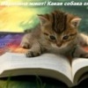 Аватар: Виленочка Эсце