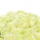 №81, Максим Тарасов, 37 лет, Казань №81, Максим Тарасов, 37 лет, Казань