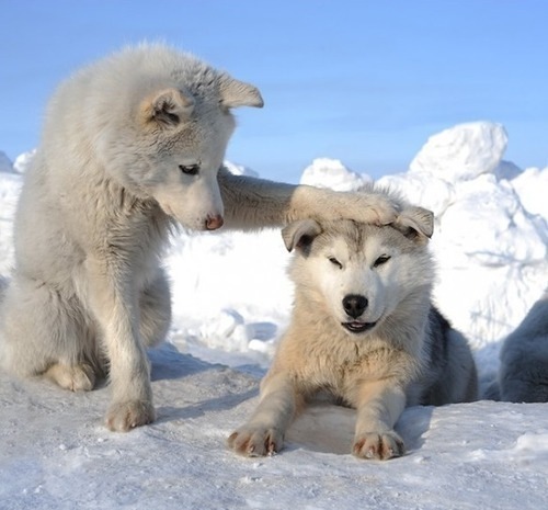 №64, Dima Psykovsky, Москва, Россия №64, Dima Psykovsky, Москва, Россия