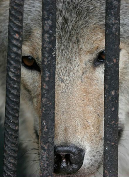 №116, Андрей Янов, 39 лет, Воронеж №116, Андрей Янов, 39 лет, Воронеж