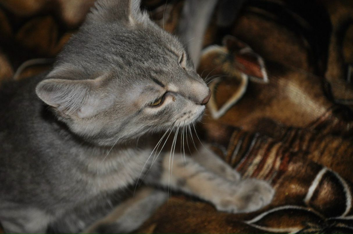 Женя Леонтьев | Санкт-Петербург