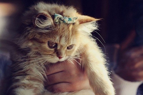 Лидия Харчева | Самара