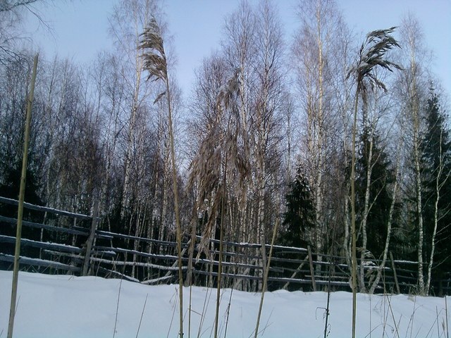Роман Дороничев | 