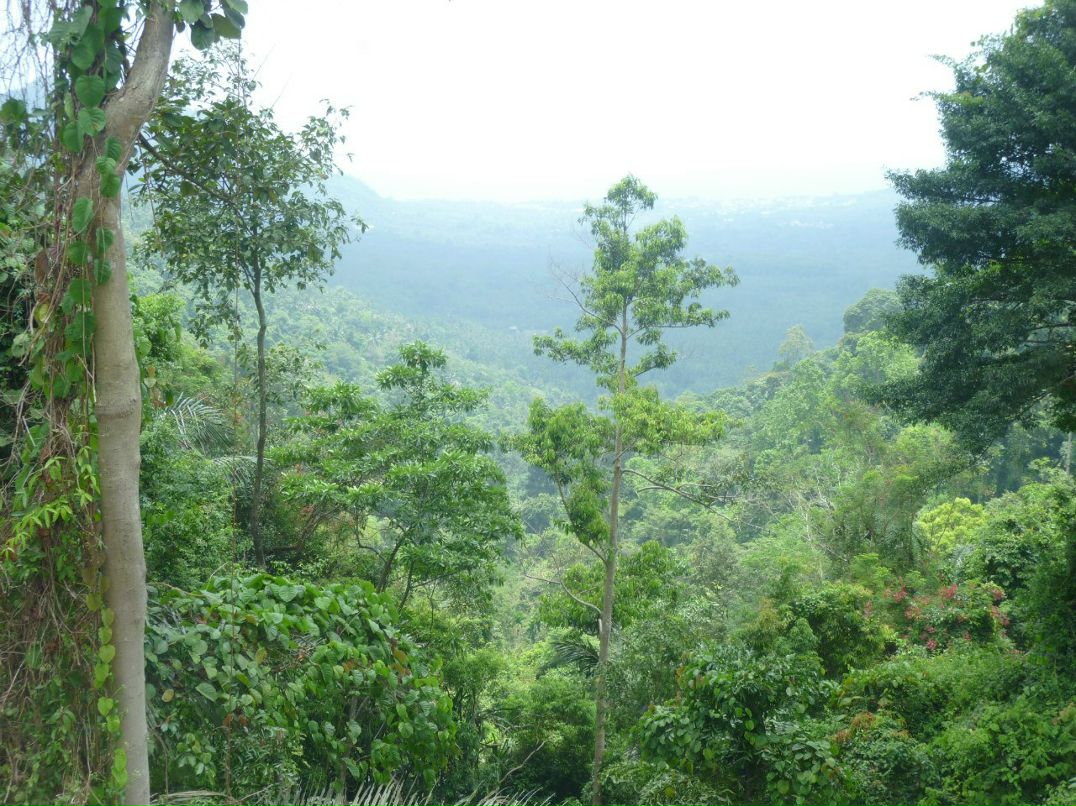 Вова Бутов | Херсон