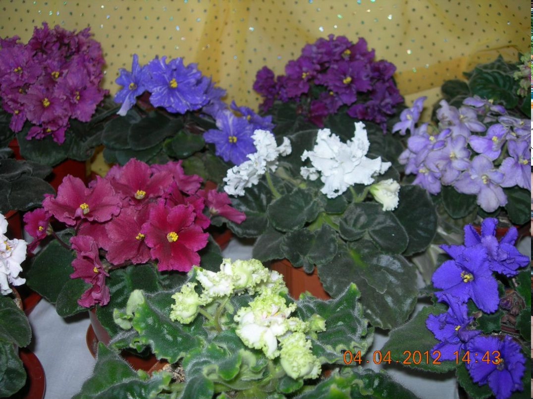 Марина Гридина | Днепр (Днепропетровск)