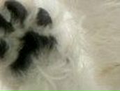 Ирина Чижик | Томск