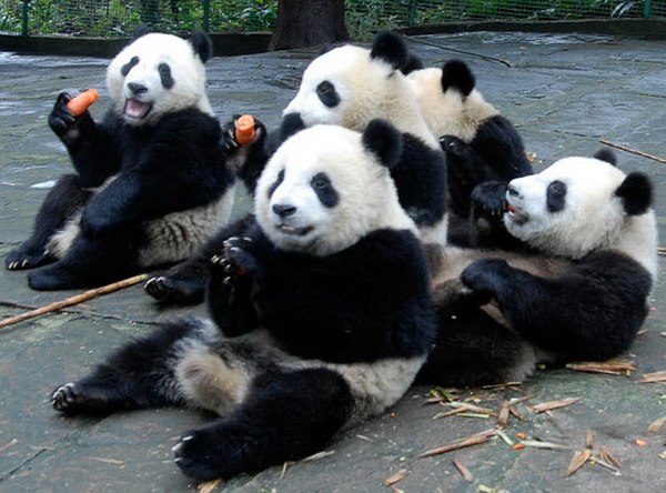 Константин Оршанский /̵͇̿̿ | 