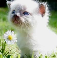 Оля Князева | Уфа