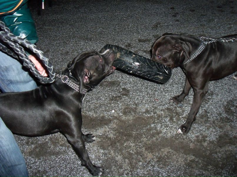 Серёга Сабанюк Z (ٿ) Z (ٿ) | Ровно