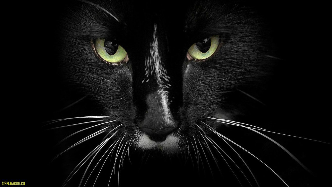 Алла Ярчук | Красноярск