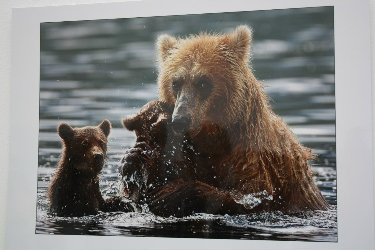 Ольга Лапшенкова | Москва