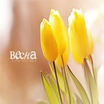 Юлия Василенко | Москва