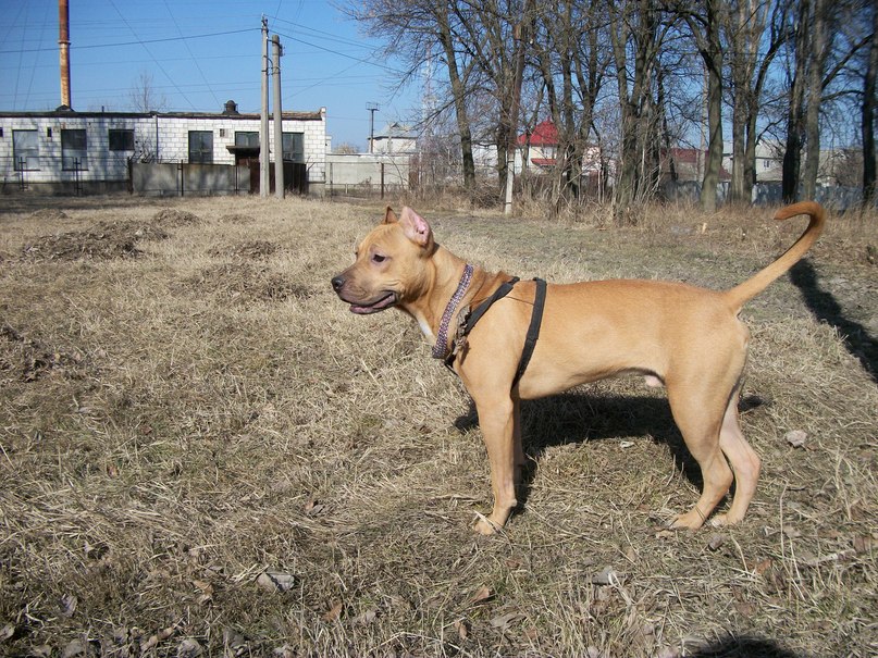 Артур Станев | Москва