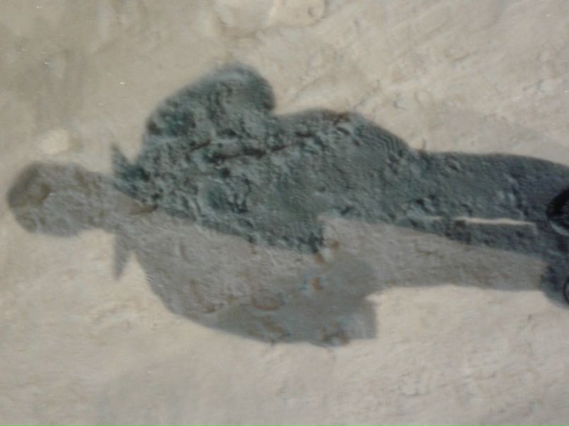 Макс Саратов | Йошкар-Ола