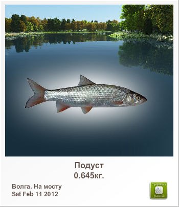 Елена Воронина | Молодечно