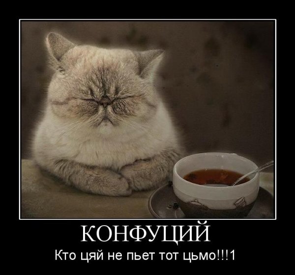 Радик Шаповал -Image- | Кривой Рог