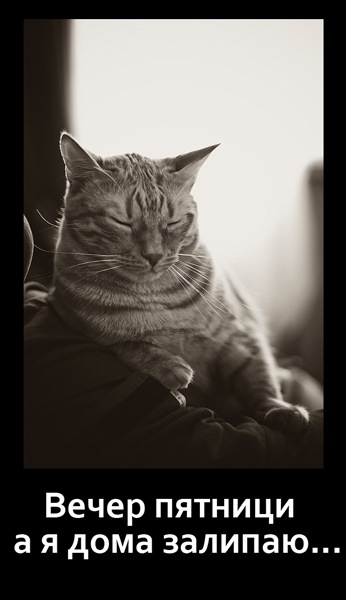 №96, Евгений Лукьянов, Казань №96, Евгений Лукьянов, Казань